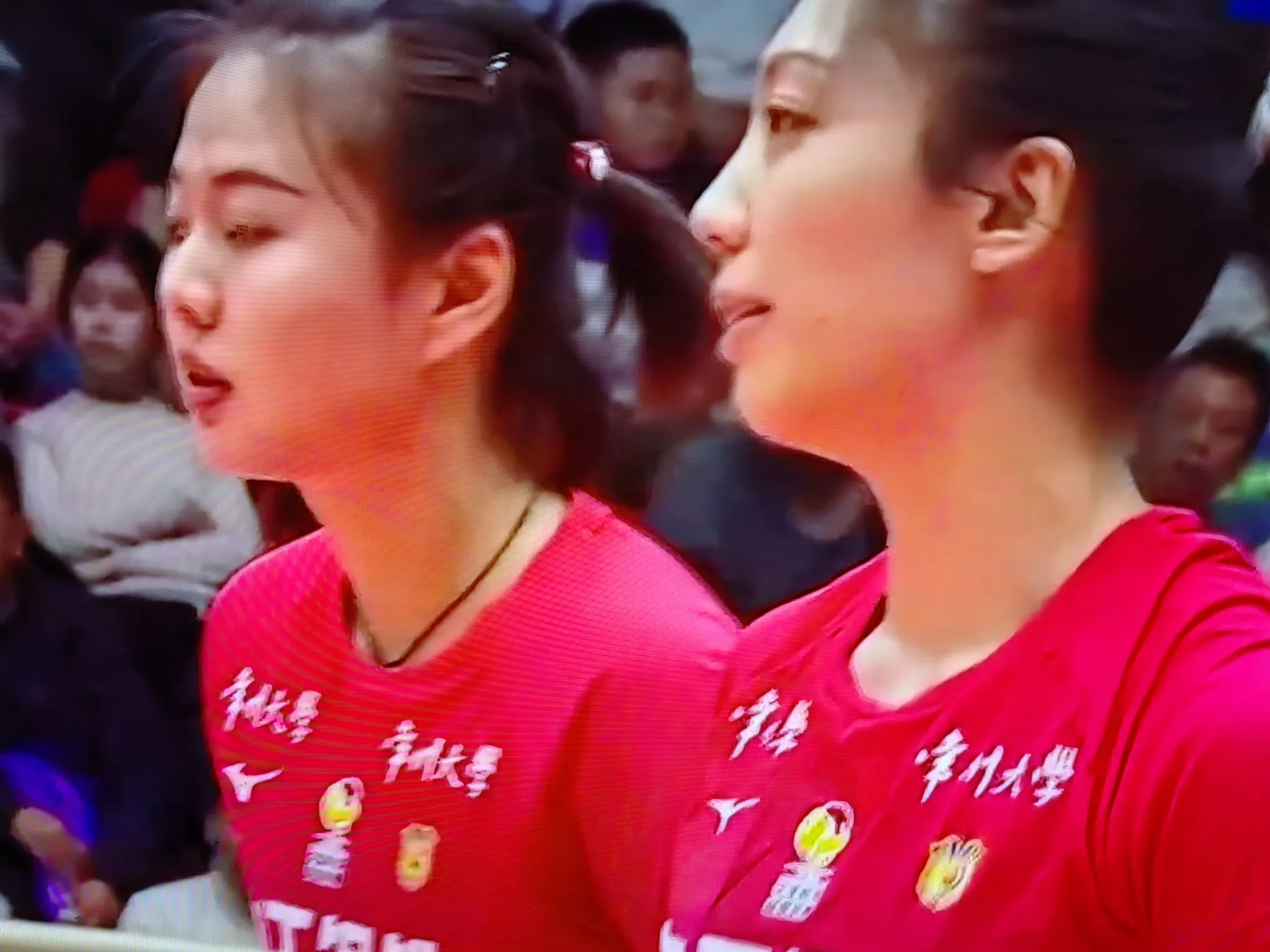 排球场外新闻不断，话题热度爆表的简单介绍