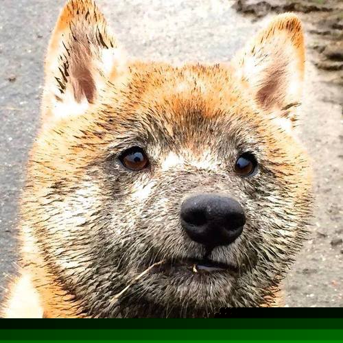 热火逆转猛龙，伦纳德式接管在淘汰赛中的永恒启示