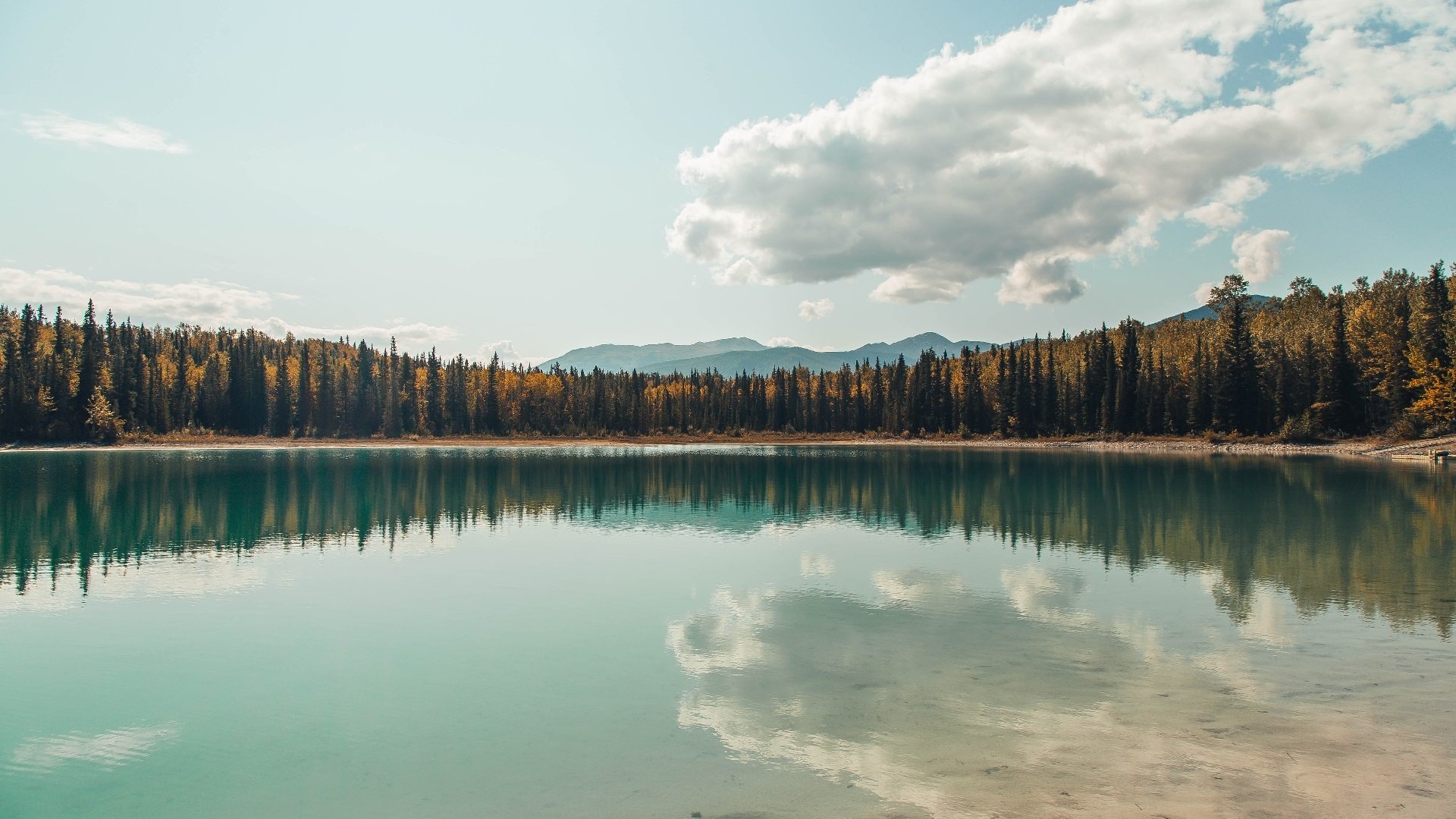 元宇宙巅峰对决，开拓者收割北京队，哈登彻底打爆防线