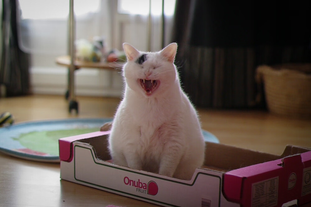 开云体育登录-被撕碎的铁幕，当爱德华兹的雷霆击穿快船防线