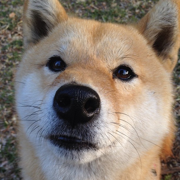 开云体育平台APP-绝境之光，从摩洛哥的沙漠铁血到蒂亚戈的生死战接管