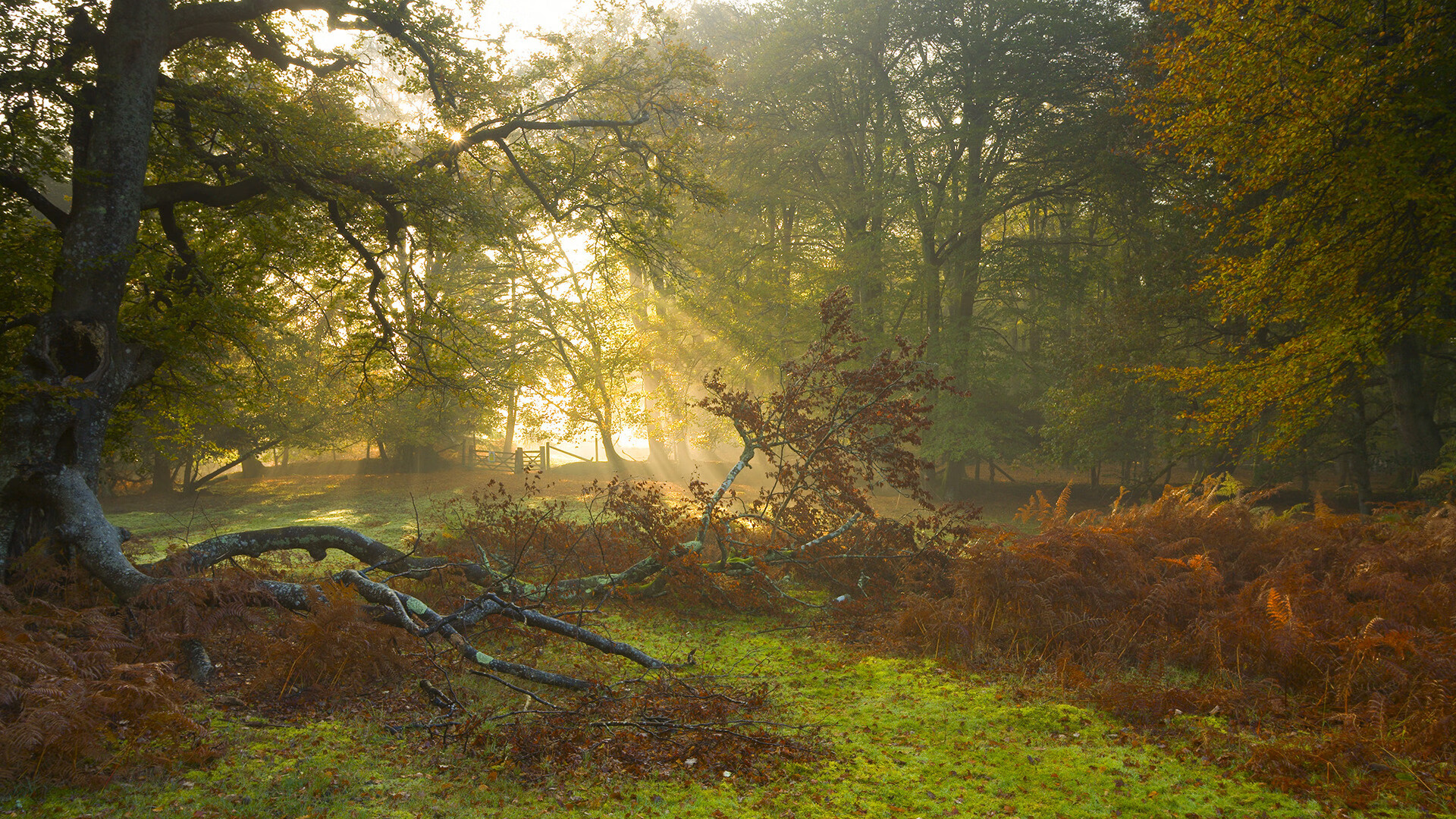 中场钻石与团队利刃,基米希的大场面与潜水艇的战术警世录