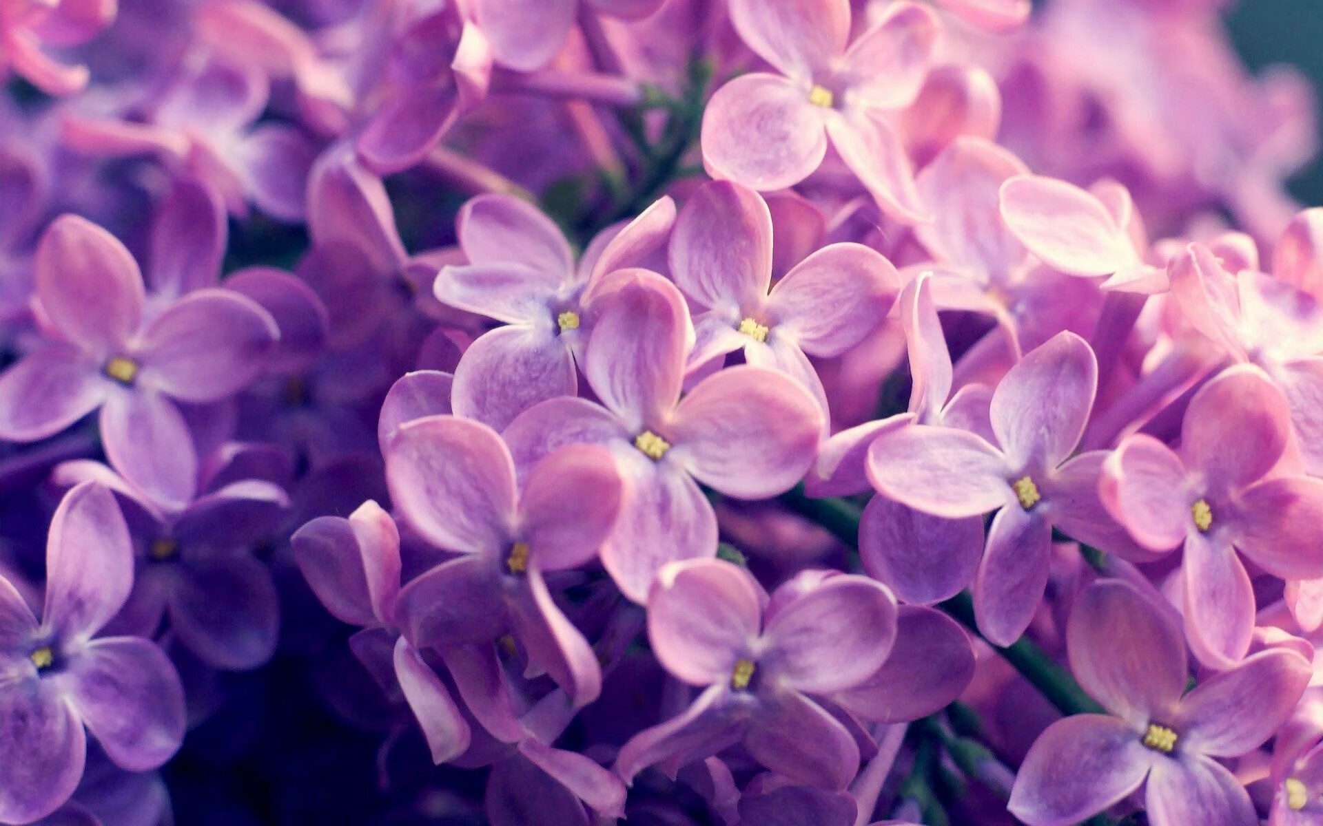 若日尼奥的智慧与土耳其的胜利，足球的战术之美