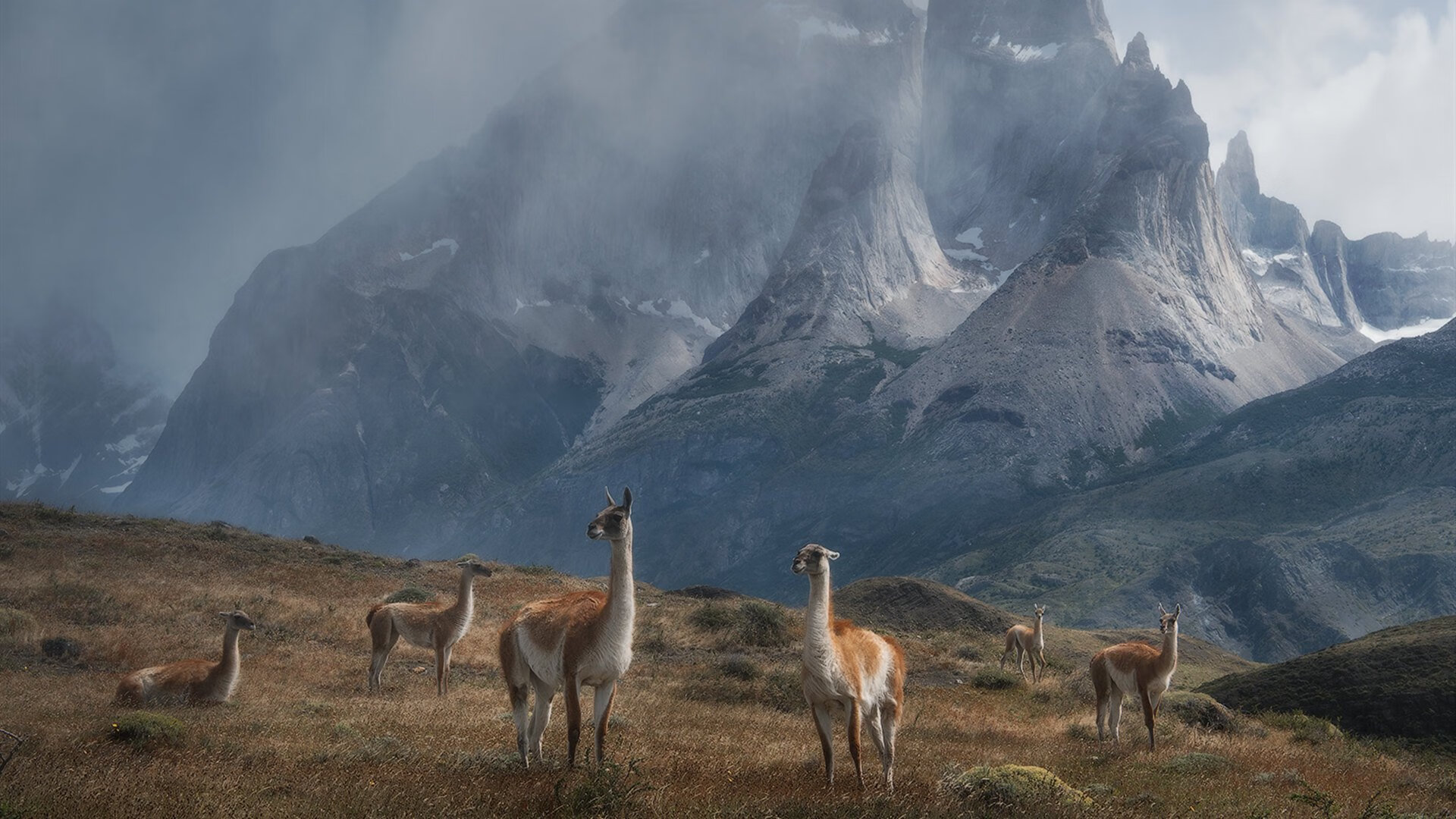 开云体育下载-铁血防线铸就奥运之路，当阿圭罗用防守写下安哥拉的新史诗