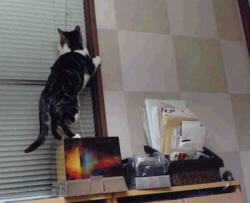 枪炮与玫瑰的对决,阿森纳的钢铁阵线如何正面击溃巴萨,而梅西的锋芒依然刺破夜空