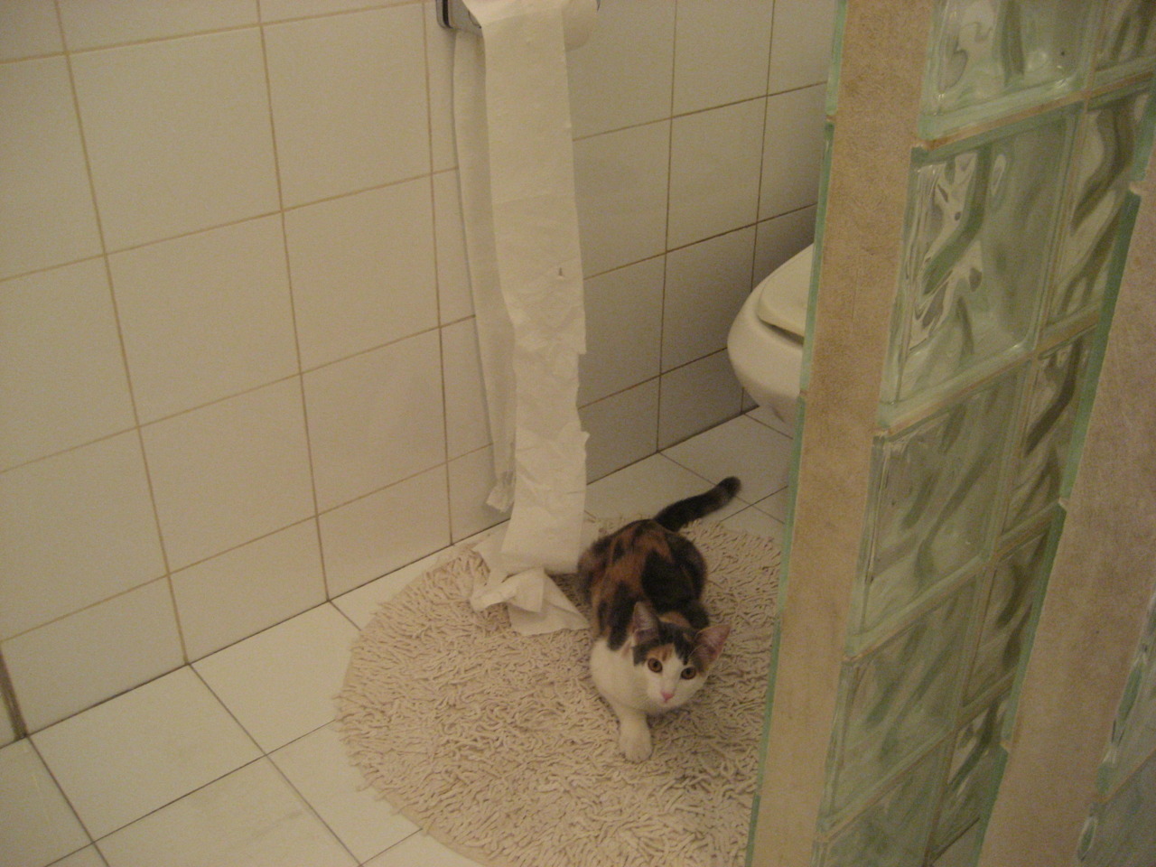 跨越体育的韧性之舞，当巴特勒与爱德华兹在各自战场诠释强硬本质