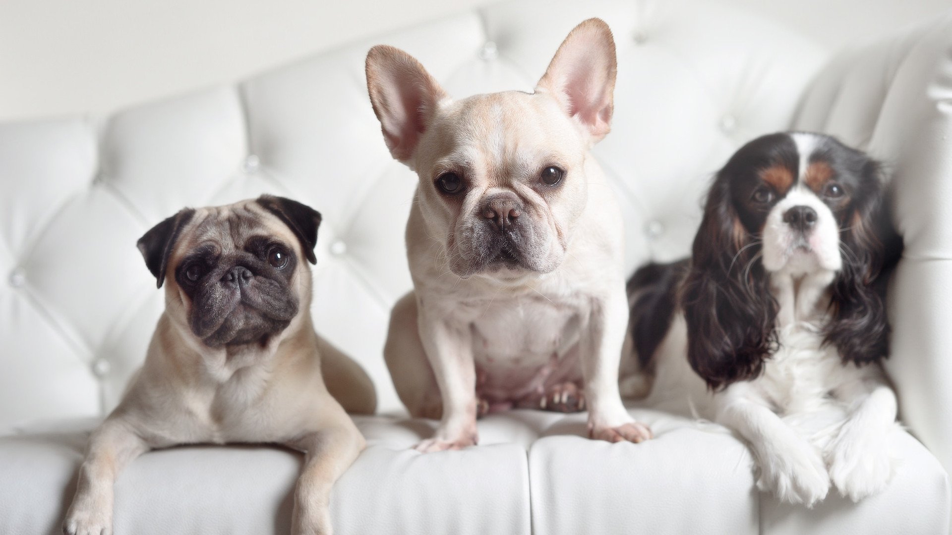 开云体育入口-萨内领军，切尔西客场力克威尔士劲旅