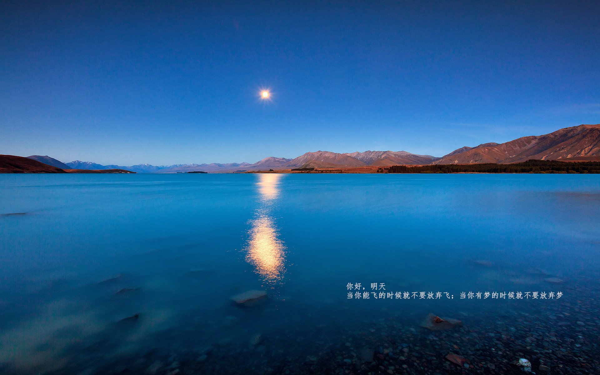 打出奥运周期关键战气势！浙江队击溃凯尔特人展现中国篮球新力量