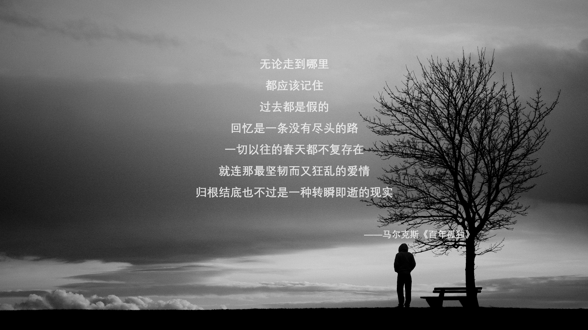维也纳之夜,奥地利铁血反击击碎卡塔尔金元梦,坎塞洛独舞闪耀出线战