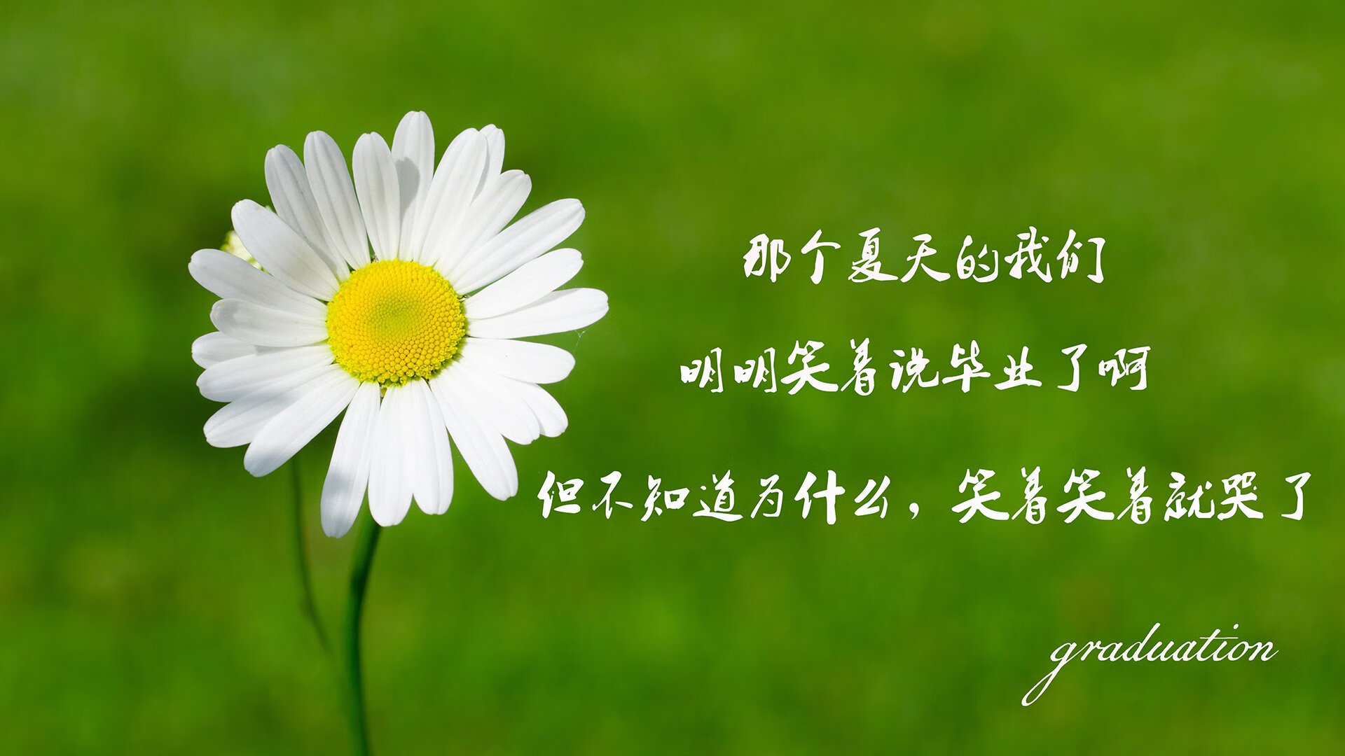 北欧铁骑破沙漠,瑞典力克沙特,罗德里戈闪耀H组强强对话
