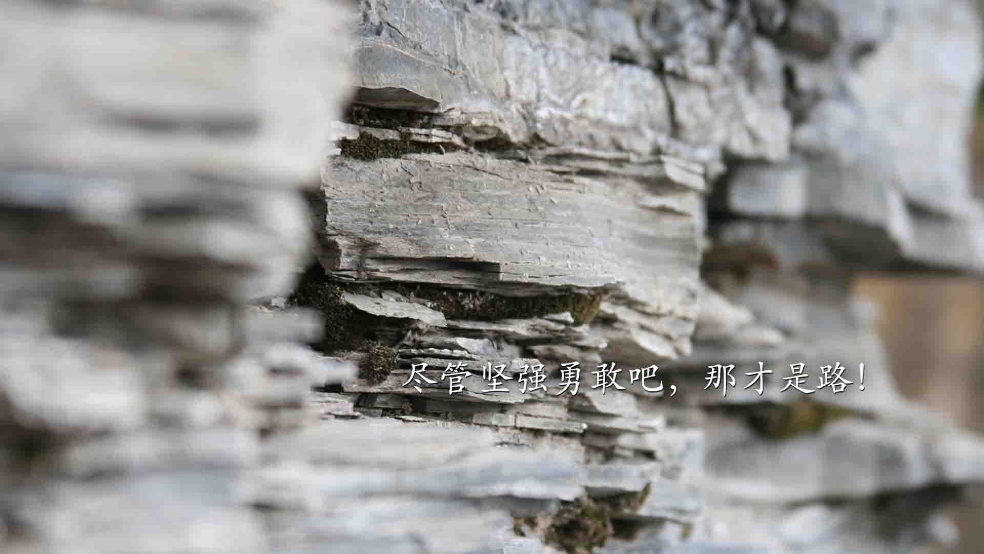 北欧童话再临，日耳曼战车轰鸣，京多安闪耀，丹麦完胜哥斯达黎加引爆2026世界杯F组